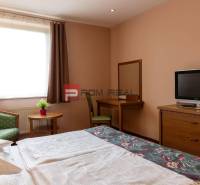 A hotel room with a television, a desk, a chair, and a plant on the table.
