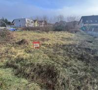 Stupava, Bazová: Residential land with overgrown grass and surrounding houses.