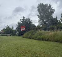 Greenery and grass area on residential plots in Marianka on Na Tálkoch Street.