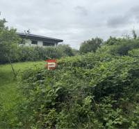 Overgrown residential plot in Marianka, Na Tálkoch, opposite the house, surrounded by greenery.