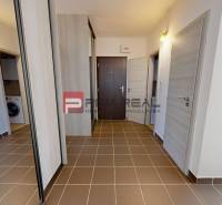Entrance hall in a 3-room apartment with tiles and a built-in wardrobe.