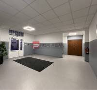 Interior with white walls, a plant, a mat, and wooden doors in Warehouses and Halls.