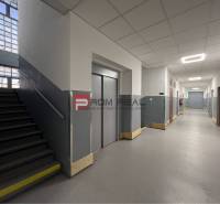 Interior of a warehouse and hall with stairs and an elevator, gray walls, bright corridor.