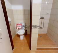 Toilet and shower in warehouse and hall spaces with tiling.