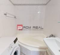 Bathroom with a shower, washing machine, and sink in a 4-room apartment.