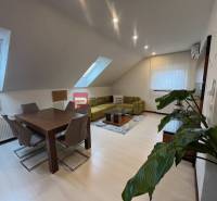 Interior of a production space with a dining table, chairs, and a plant in the corner of the room.