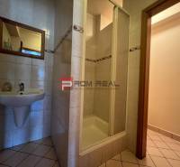 A bathroom in production facilities with a sink, mirror, and shower stall.