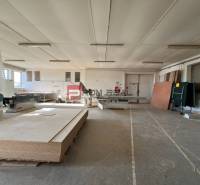 Production premises with equipment for woodworking, suitable for craft activities.