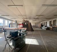 Production facilities with woodworking machinery and materials, plenty of natural light.