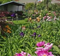 The garden at the family house on Slnečná Street in Pezinok is full of flowers and a gazebo.