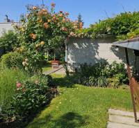 The garden of the family house on Slnečná Street in Pezinok with beautiful flowers and a lawn.