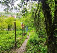 A narrow forest path leads through hedges and gardens in a natural setting.