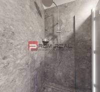 A shower corner with gray tiles in a 3-room apartment.