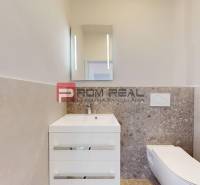 A bathroom in a family house with a sink, a mirror, and a built-in toilet.