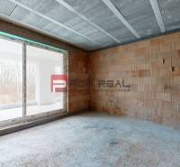 Unfinished interior of a separate room in a family house with a view outside.