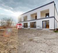 A family house in Dunajská Streda with a bright facade, an uncovered garden, trees in the background.