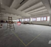 Spacious production spaces with a ladder and plenty of natural light.