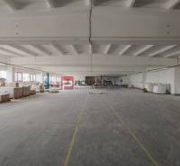 Spacious production premises with pallets and equipment ready for storage.