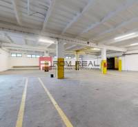 A spacious interior of a warehouse and hall with a white ceiling and marked parking spaces.