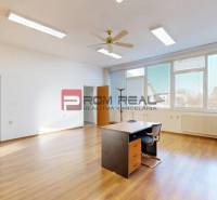 Bright office with wooden flooring, a desk and a chair, with a view from large windows.