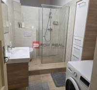 A bathroom with a shower and a washing machine in a 2-room apartment.