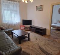 Living room in a two-room apartment, with a sofa, television, and a view into the bedroom.