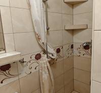 A shower corner with a floral pattern in the tiles in a 2-room apartment.