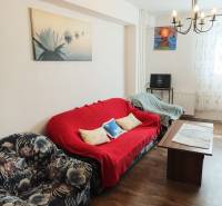 Living room in a 2-room apartment with a floral armchair, red sofa, and a table.