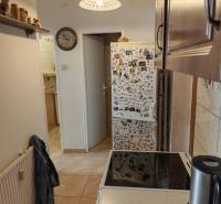 A kitchen in a 2-room apartment with a fridge full of magnets and a ceramic hob.