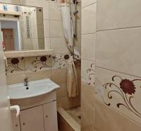 A bathroom in a 2-room apartment with a shower and a sink.