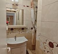 Bathroom in a 2-room apartment with a sink, mirror, and shower corner.