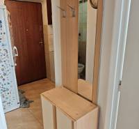 Entrance hall in a 2-room apartment with a wooden wardrobe and a mirror.
