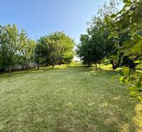 A garden with a lawn and trees in a family house in Koválov.