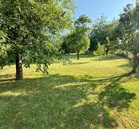 The garden of the family house in Koválov: manicured lawn, trees and greenery, peaceful atmosphere.