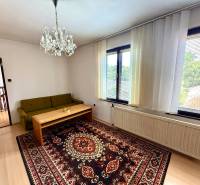 Living room in a family house with a green sofa, carpet, and chandelier.