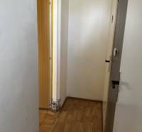 A hallway in a one-room apartment with wooden flooring, white walls, and open doors.