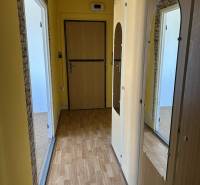 A hallway with a built-in wardrobe in a studio apartment, laminate flooring, yellow walls.