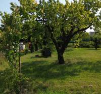 Greenery, trees, and a building in the background in Dolný Bar, Plots - residential.