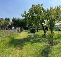 Greenery, beehives, and trees in Dolný Bar, ideal for plots - living.
