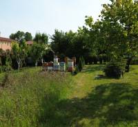 Green residential plots in Dolný Bar with beehives, surrounded by trees.