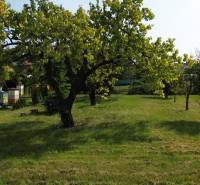 A garden in Dolný Bar with beehives and trees, suitable for living.