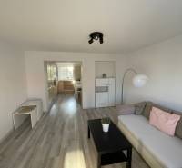 Living room in a two-room apartment with a sofa, table, and entrance to the kitchen.
