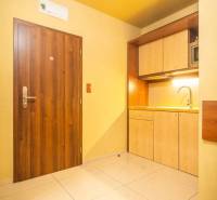 Entrance area of the recreational apartment with wooden doors and a kitchenette.