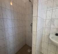 Shower corner with tiles and sink in the warehouse and hall areas.