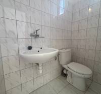 Bathroom spaces with white tiles, a sink, and a toilet in warehouses and halls.