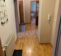 A hallway in a 2-room apartment with a wooden floor, a coat rack, and an entrance to the bathroom.