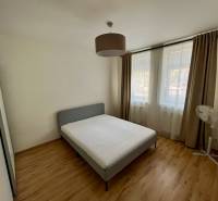 Bright bedroom with a bed and windows, 2-room apartment with wooden flooring and curtains.