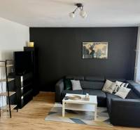 Living room in a two-room apartment with a sofa, table, and TV on a dark wall.