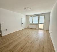 An empty room with a wooden floor and a large window in a two-room apartment.
