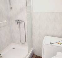 The bathroom in a 2-room apartment has a shower and a washing machine, with light-colored tiles.